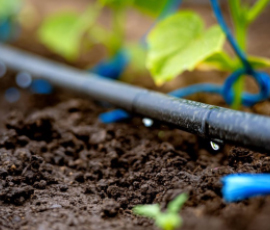 DRIP IRRIGATION SYSTEMS