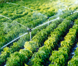 SPRINKLER IRRIGATION SYSTEM