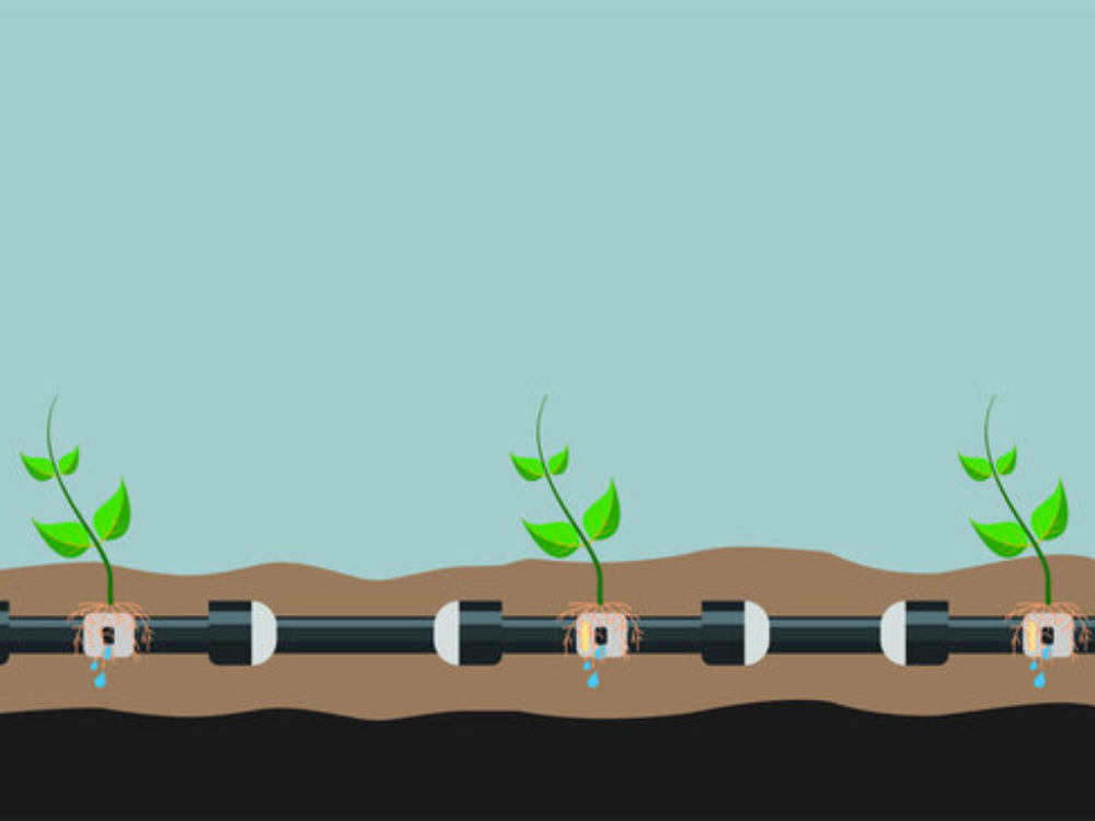 Subsoil Drip Irrigation